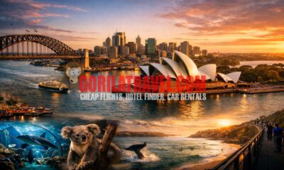 Things to Do in Sydney Your Ultimate 2026 Travel Guide