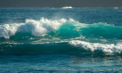 fizzing sea wave