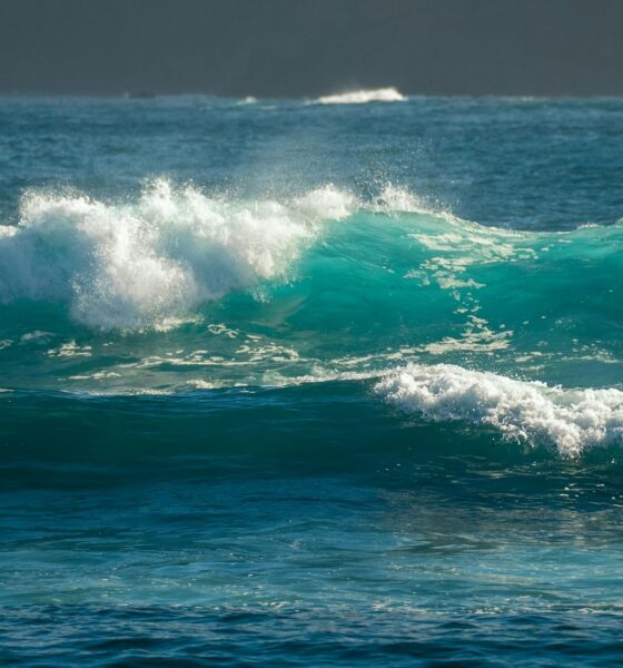 fizzing sea wave